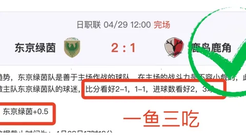 日职町田泽维亚核心射手停赛分析