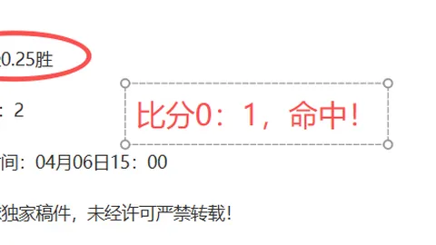 沙尔克04主场优势分析：期号专家质合推荐